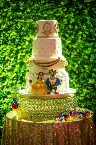 Fiesta de 15 Años - 010