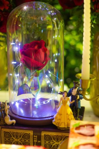 Fiesta de 15 Años - 012