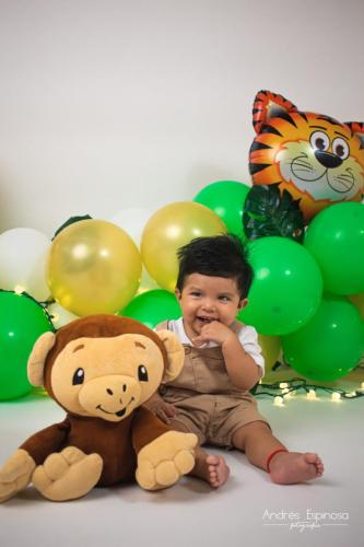 Smash Cake - Bebé Niño - Decoración de selva