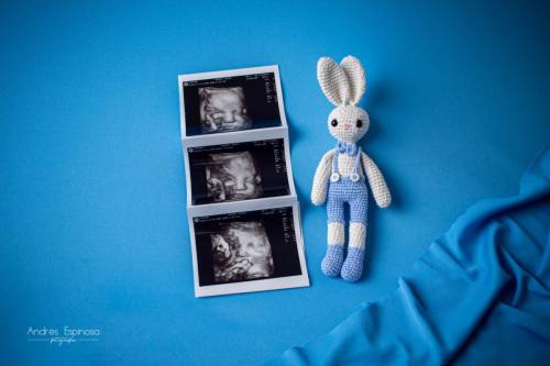 Newborn - Ecografía y conejo de peluche