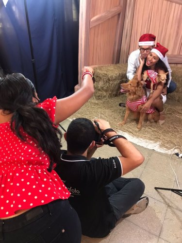 bacsktages-foto-con-mascota